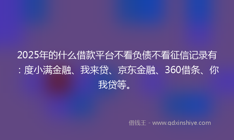 2025年的什么借款平台不看负债不看征信记录有：度小满金融、我来贷、京东金融、360借条、你我贷等。