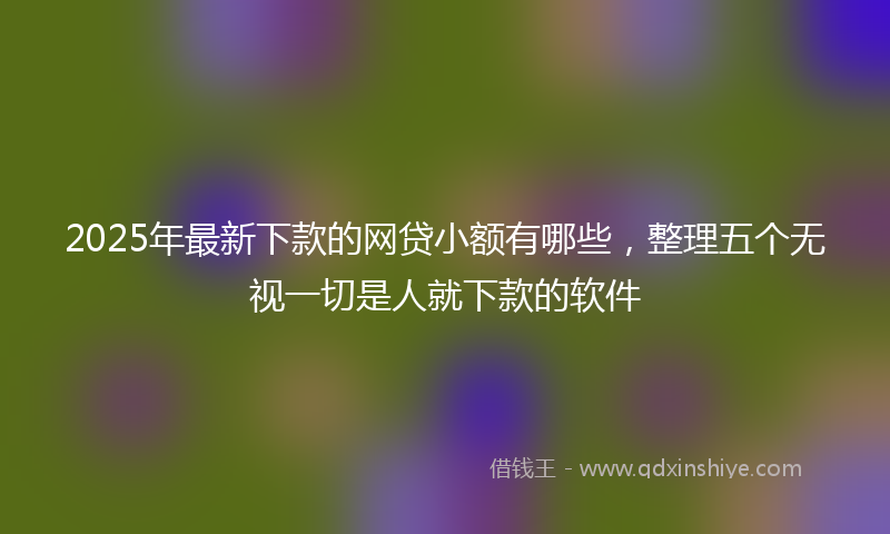 2025年最新下款的网贷小额有哪些，整理五个无视一切是人就下款的软件