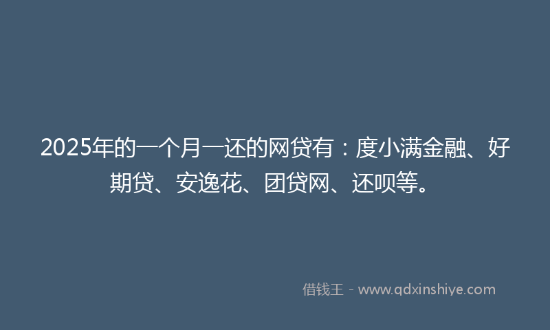 2025年的一个月一还的网贷有：度小满金融、好期贷、安逸花、团贷网、还呗等。