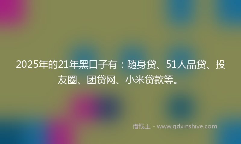 2025年的21年黑口子有：随身贷、51人品贷、投友圈、团贷网、小米贷款等。