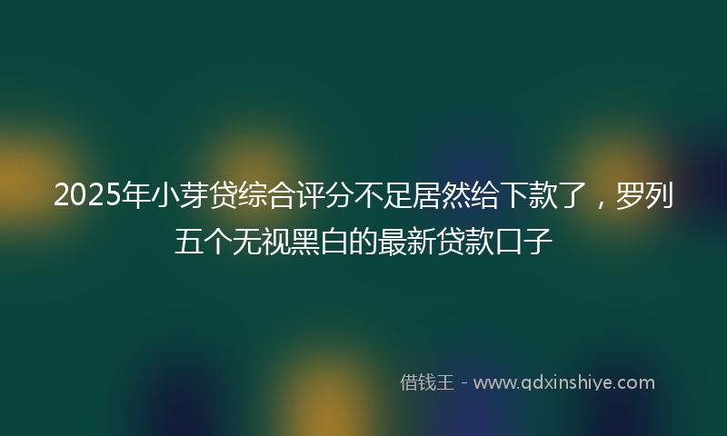2025年小芽贷综合评分不足居然给下款了，罗列五个无视黑白的最新贷款口子