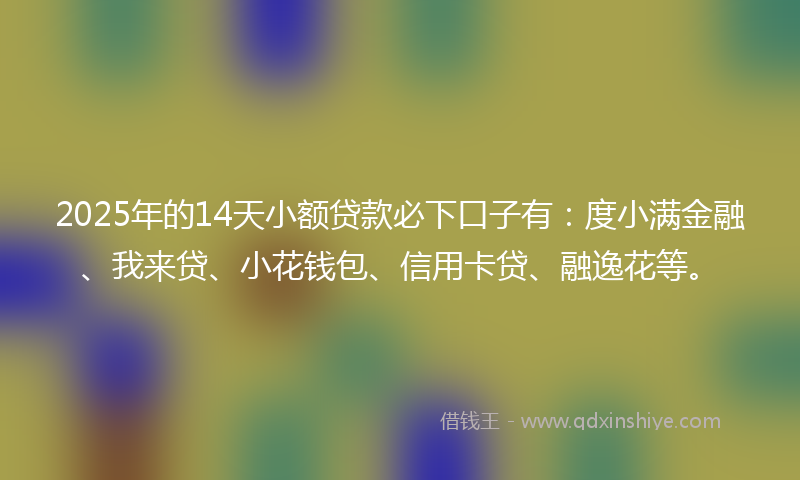 2025年的14天小额贷款必下口子有：度小满金融、我来贷、小花钱包、信用卡贷、融逸花等。