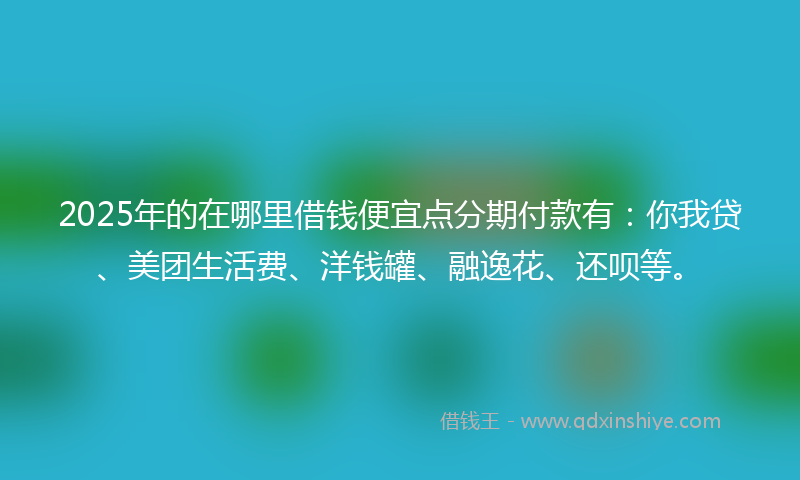 2025年的在哪里借钱便宜点分期付款有：你我贷、美团生活费、洋钱罐、融逸花、还呗等。