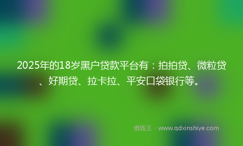2025年的18岁黑户贷款平台有：拍拍贷、微粒贷、好期贷、拉卡拉、平安口袋银行等。