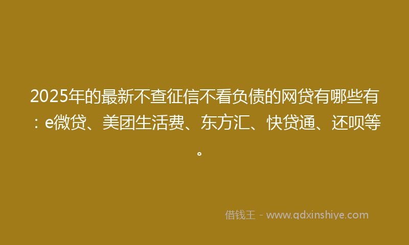 2025年的最新不查征信不看负债的网贷有哪些有：e微贷、美团生活费、东方汇、快贷通、还呗等。