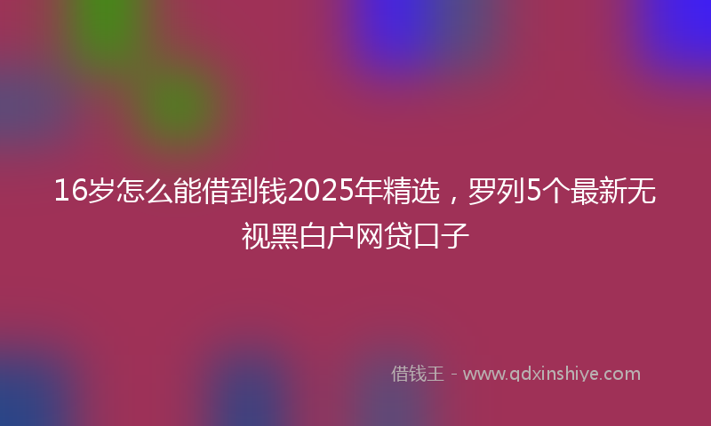 16岁怎么能借到钱2025年精选，罗列5个最新无视黑白户网贷口子