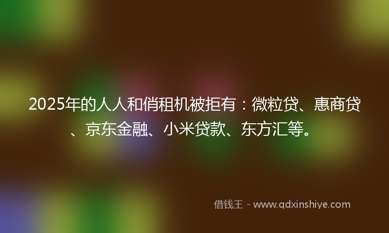 2025年的人人和俏租机被拒有：微粒贷、惠商贷、京东金融、小米贷款、东方汇等。
