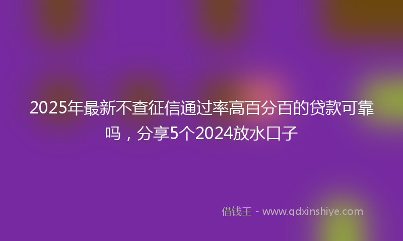 2025年最新不查征信通过率高百分百的贷款可靠吗，分享5个2024放水口子