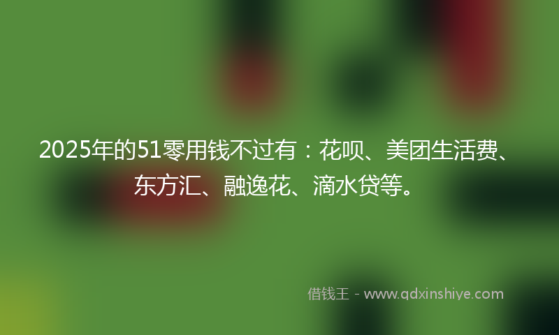 2025年的51零用钱不过有：花呗、美团生活费、东方汇、融逸花、滴水贷等。