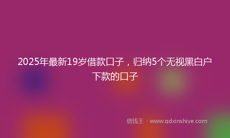 2025年最新19岁借款口子，归纳5个无视黑白户下款的口子