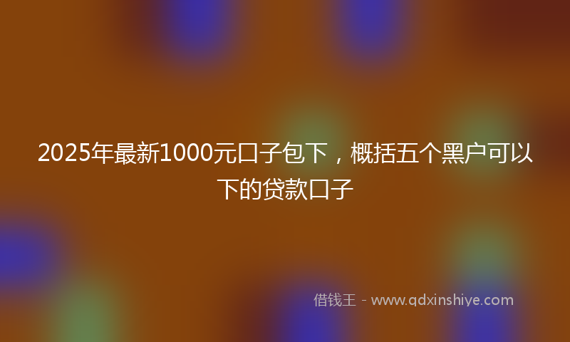 2025年最新1000元口子包下，概括五个黑户可以下的贷款口子