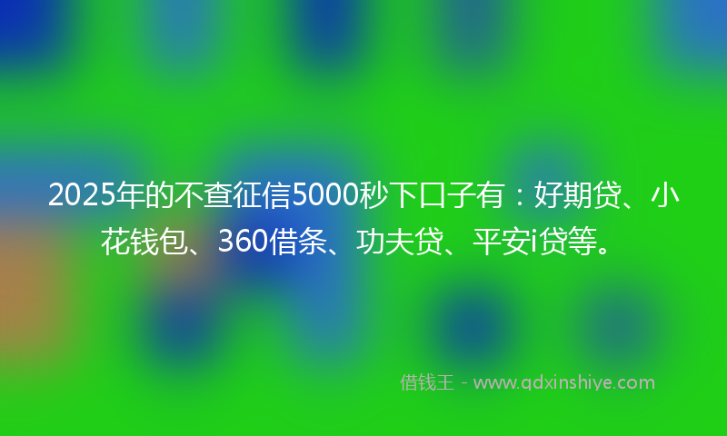 2025年的不查征信5000秒下口子有：好期贷、小花钱包、360借条、功夫贷、平安i贷等。