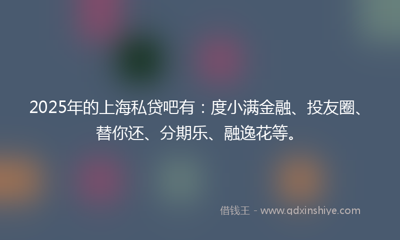 2025年的上海私贷吧有：度小满金融、投友圈、替你还、分期乐、融逸花等。
