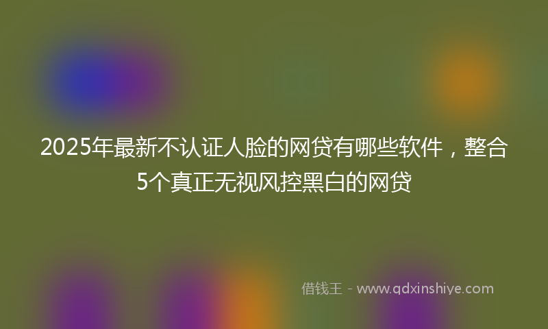 2025年最新不认证人脸的网贷有哪些软件，整合5个真正无视风控黑白的网贷