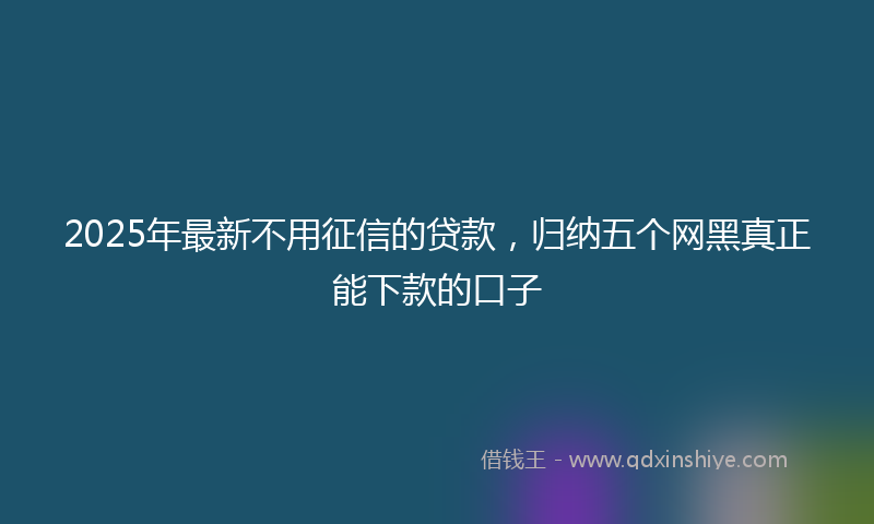 2025年最新不用征信的贷款，归纳五个网黑真正能下款的口子