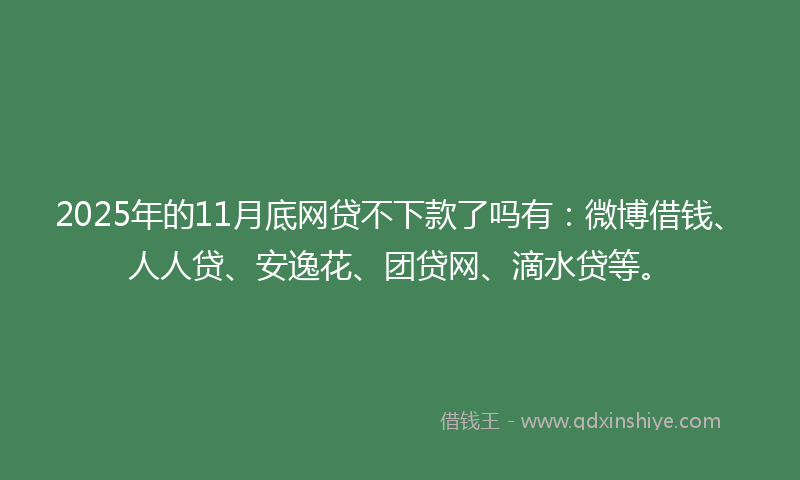 2025年的11月底网贷不下款了吗有：微博借钱、人人贷、安逸花、团贷网、滴水贷等。