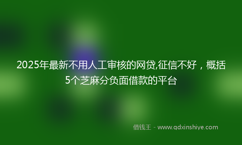 2025年最新不用人工审核的网贷,征信不好，概括5个芝麻分负面借款的平台