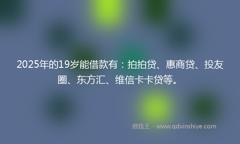 2025年的19岁能借款有：拍拍贷、惠商贷、投友圈、东方汇、维信卡卡贷等。