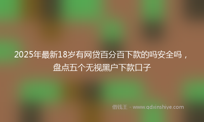 2025年最新18岁有网贷百分百下款的吗安全吗，盘点五个无视黑户下款口子
