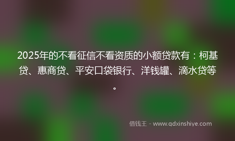 2025年的不看征信不看资质的小额贷款有：柯基贷、惠商贷、平安口袋银行、洋钱罐、滴水贷等。