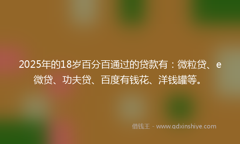 2025年的18岁百分百通过的贷款有：微粒贷、e微贷、功夫贷、百度有钱花、洋钱罐等。