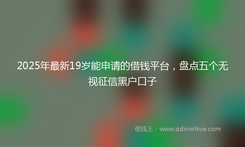 2025年最新19岁能申请的借钱平台，盘点五个无视征信黑户口子