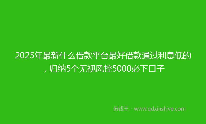 2025年最新什么借款平台最好借款通过利息低的，归纳5个无视风控5000必下口子