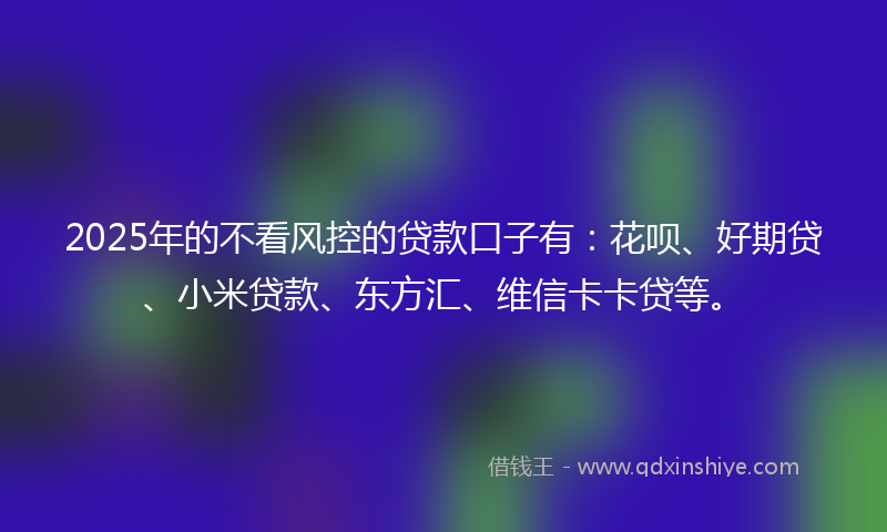 2025年的不看风控的贷款口子有：花呗、好期贷、小米贷款、东方汇、维信卡卡贷等。