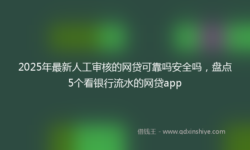2025年最新人工审核的网贷可靠吗安全吗，盘点5个看银行流水的网贷app