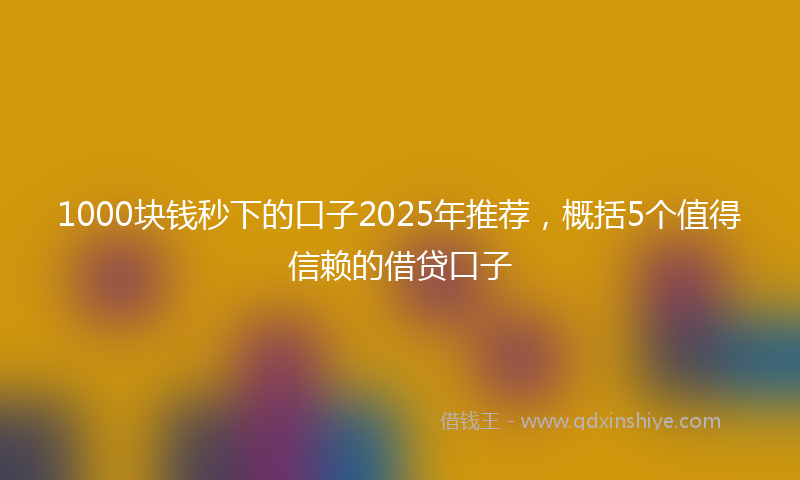 1000块钱秒下的口子2025年推荐，概括5个值得信赖的借贷口子
