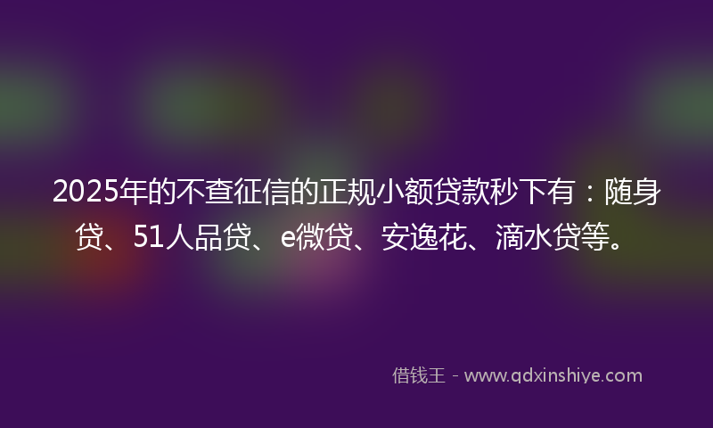 2025年的不查征信的正规小额贷款秒下有：随身贷、51人品贷、e微贷、安逸花、滴水贷等。