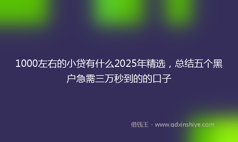 1000左右的小贷有什么2025年精选，总结五个黑户急需三万秒到的的口子