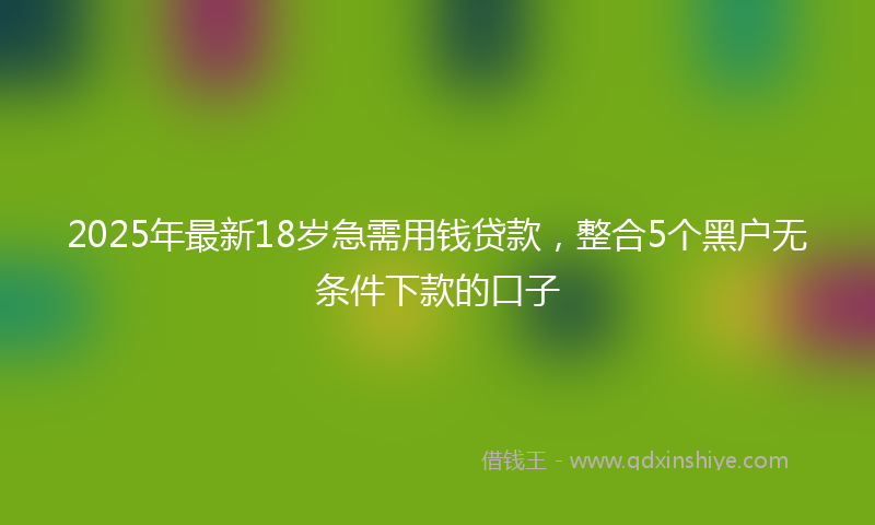 2025年最新18岁急需用钱贷款，整合5个黑户无条件下款的口子