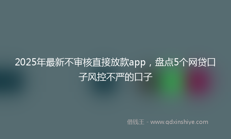 2025年最新不审核直接放款app，盘点5个网贷口子风控不严的口子