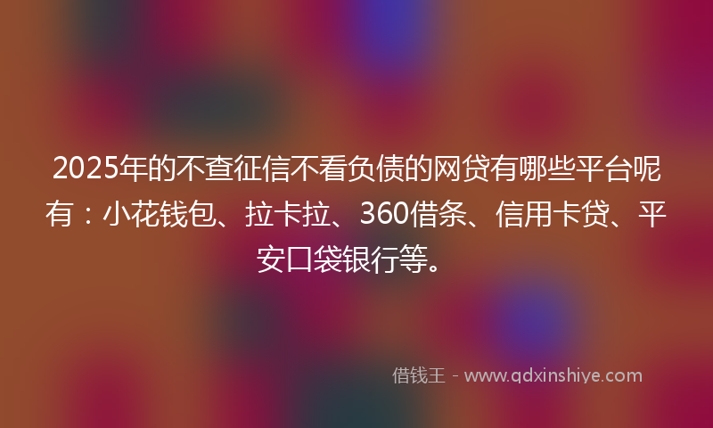2025年的不查征信不看负债的网贷有哪些平台呢有：小花钱包、拉卡拉、360借条、信用卡贷、平安口袋银行等。