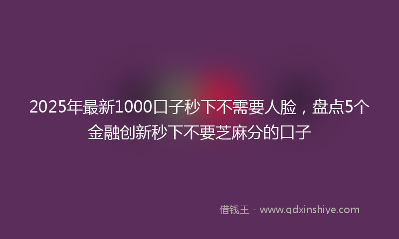 2025年最新1000口子秒下不需要人脸，盘点5个金融创新秒下不要芝麻分的口子