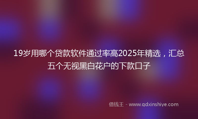 19岁用哪个贷款软件通过率高2025年精选，汇总五个无视黑白花户的下款口子