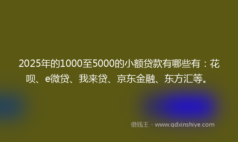 2025年的1000至5000的小额贷款有哪些有：花呗、e微贷、我来贷、京东金融、东方汇等。