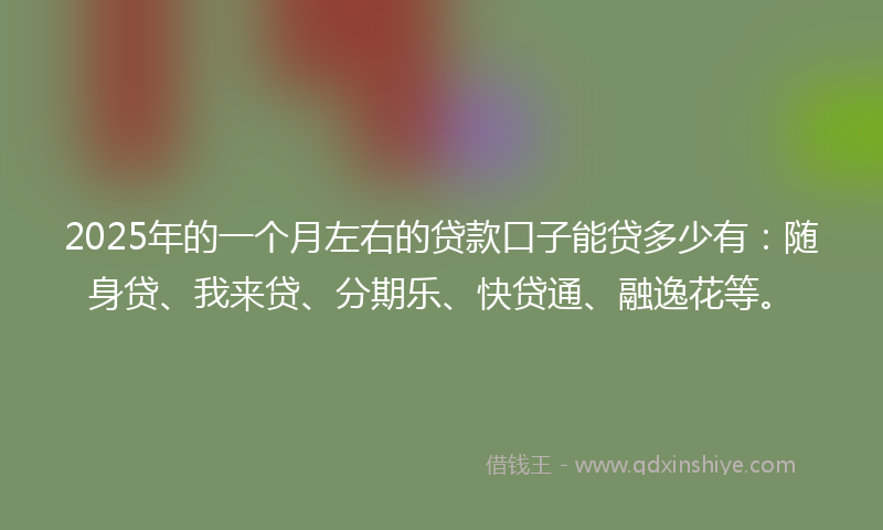2025年的一个月左右的贷款口子能贷多少有：随身贷、我来贷、分期乐、快贷通、融逸花等。