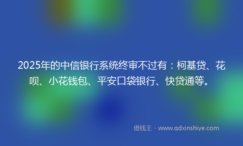 2025年的中信银行系统终审不过有：柯基贷、花呗、小花钱包、平安口袋银行、快贷通等。
