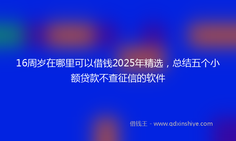 16周岁在哪里可以借钱2025年精选，总结五个小额贷款不查征信的软件