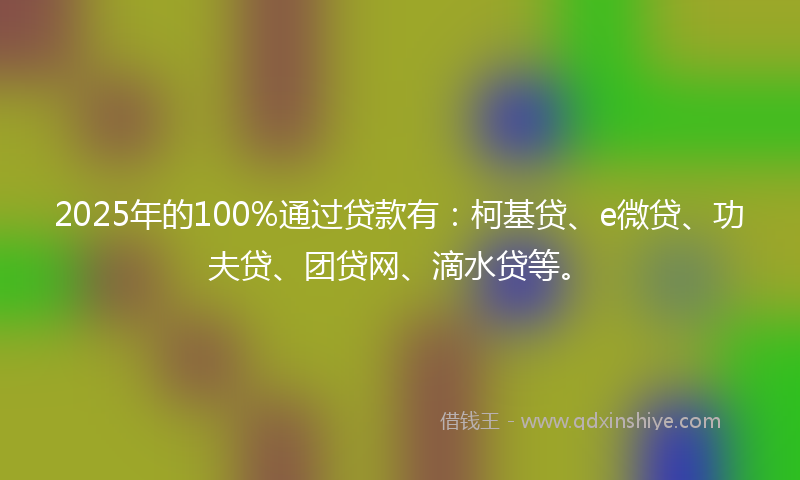2025年的100%通过贷款有：柯基贷、e微贷、功夫贷、团贷网、滴水贷等。
