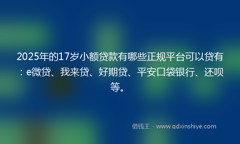 2025年的17岁小额贷款有哪些正规平台可以贷有：e微贷、我来贷、好期贷、平安口袋银行、还呗等。