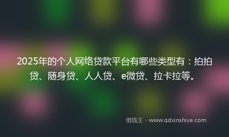 2025年的个人网络贷款平台有哪些类型有：拍拍贷、随身贷、人人贷、e微贷、拉卡拉等。
