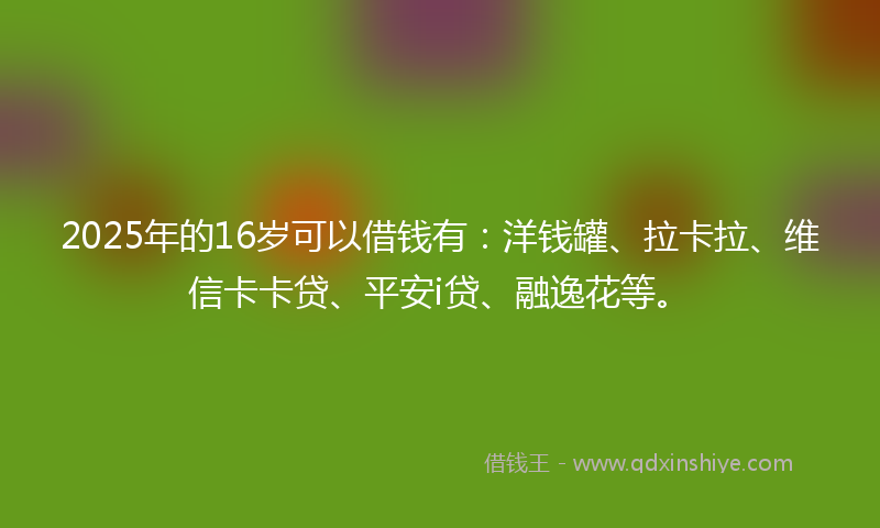2025年的16岁可以借钱有：洋钱罐、拉卡拉、维信卡卡贷、平安i贷、融逸花等。