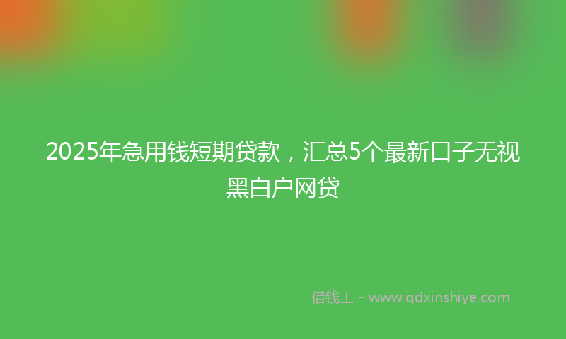 2025年急用钱短期贷款，汇总5个最新口子无视黑白户网贷