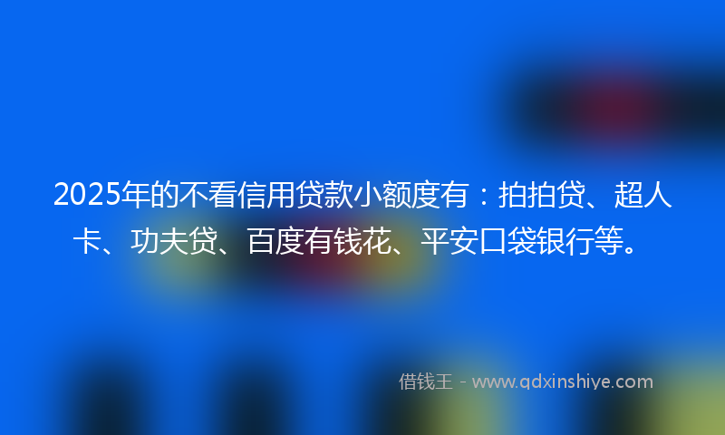 2025年的不看信用贷款小额度有：拍拍贷、超人卡、功夫贷、百度有钱花、平安口袋银行等。