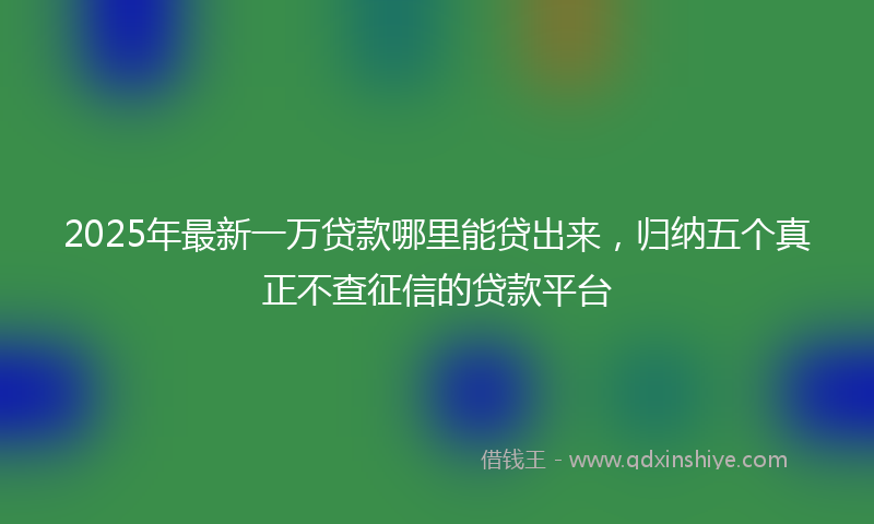 2025年最新一万贷款哪里能贷出来，归纳五个真正不查征信的贷款平台