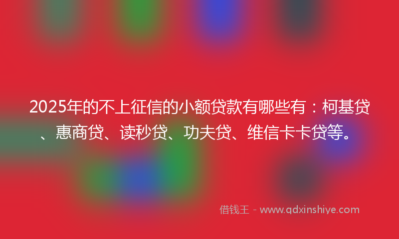 2025年的不上征信的小额贷款有哪些有：柯基贷、惠商贷、读秒贷、功夫贷、维信卡卡贷等。