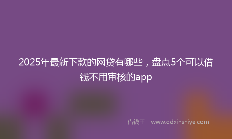 2025年最新下款的网贷有哪些，盘点5个可以借钱不用审核的app